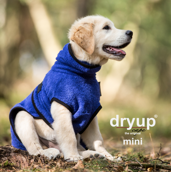 DryUp Cape Hundebademantel Mini Blueberry